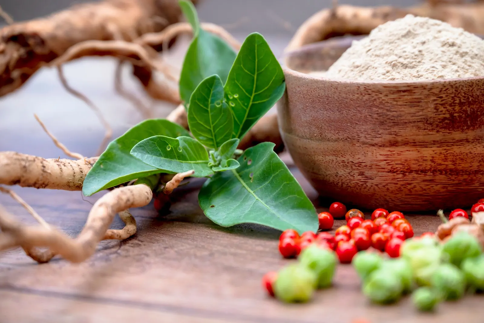 Ashwagandha in 2026: Benefits, Side Effects & Best Supplements